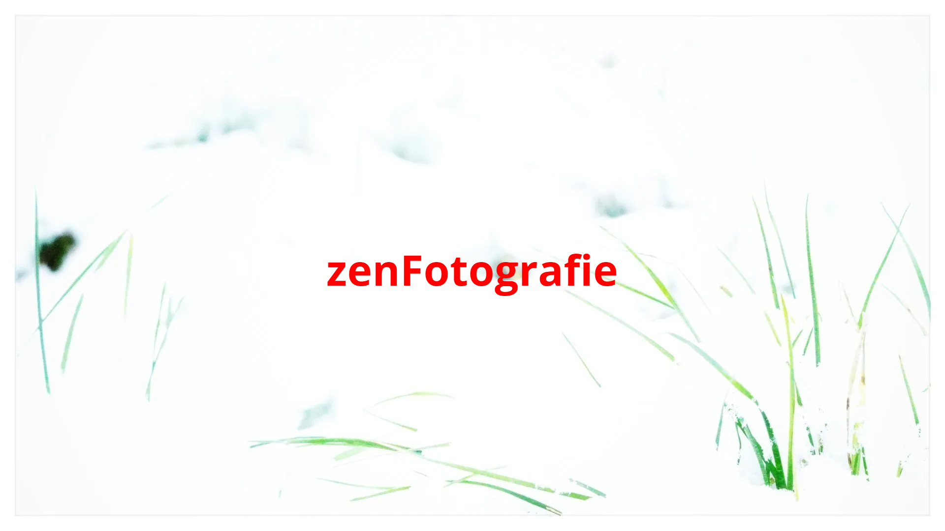 ZENFotografie