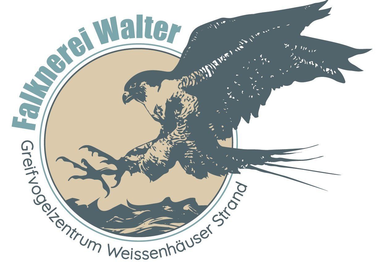 Logo Falknerei Walter an der Ostsee