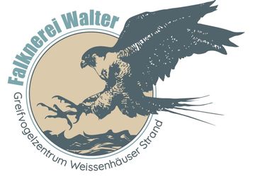 Logo Falknerei Walter an der Ostsee