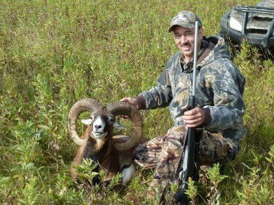 Fallow Deer Hunts