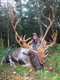 BUFFALO MOOSE HUNTS