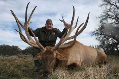 Tennessee Texas Utah  Elk Hunts