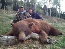 Wolf Lions Predators Varmints Hunts