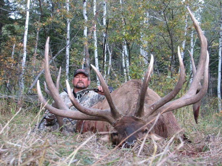 ELK HUNTING