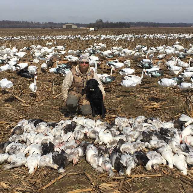 Michigan Minnesota Mississippi Hog and Bird Hunts