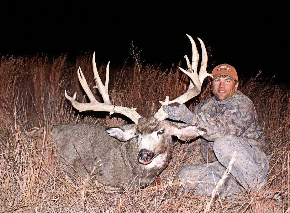 Man next to an elk at night in tall grass