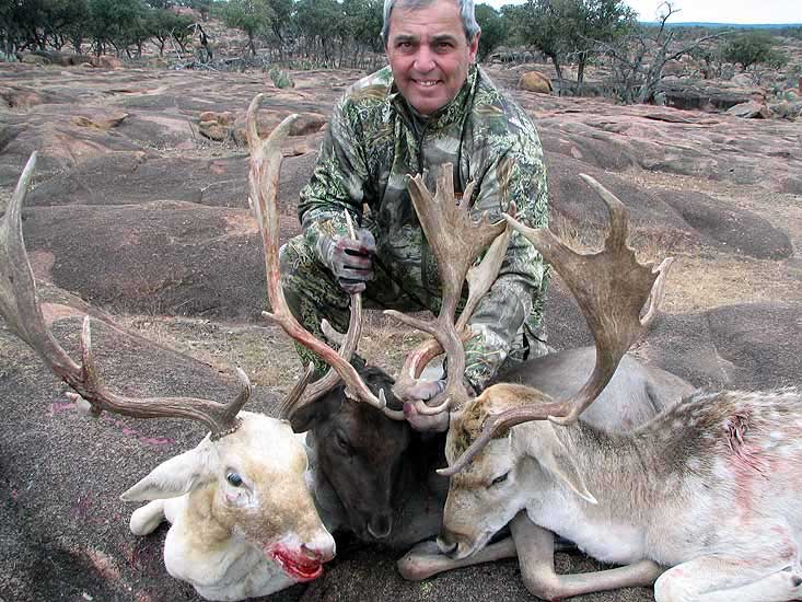 Nevada New Hampshire New Jersey Exotics