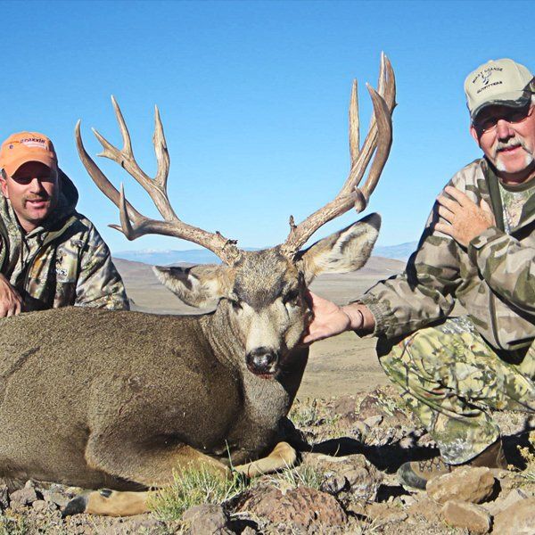 Two hunters in Colorado with an elk