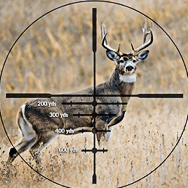 Elk through a gun lens