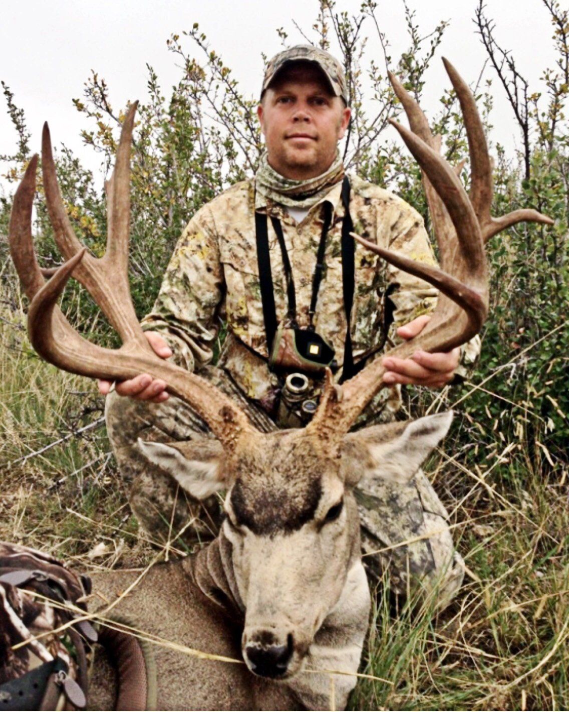 Man in hunting gear behind an elk