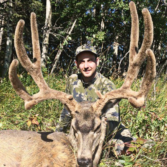 Hunter behind velvet antlers