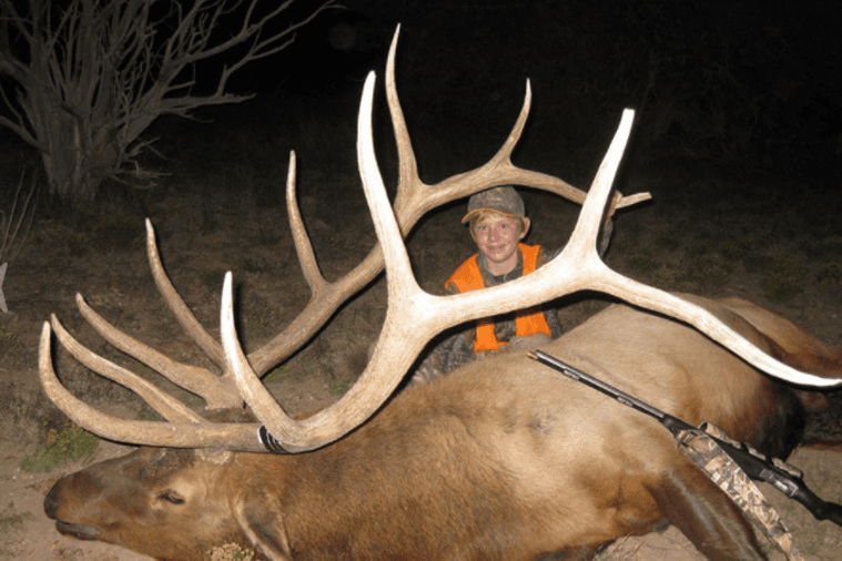 Maine Maryland Massachusetts Elk Hunts