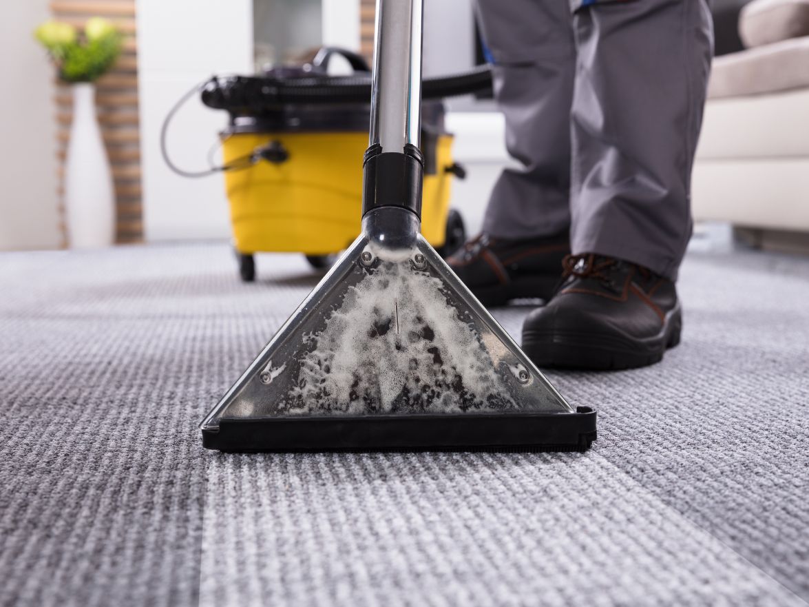 Carpet Cleaning in Torbay