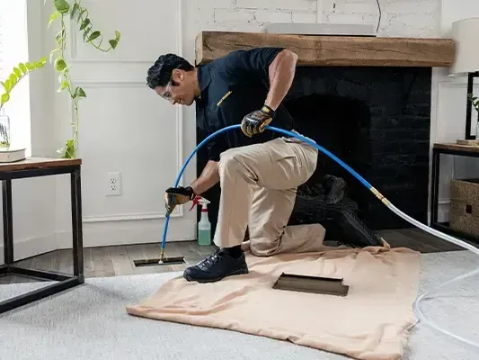 Cleaning company Torbay