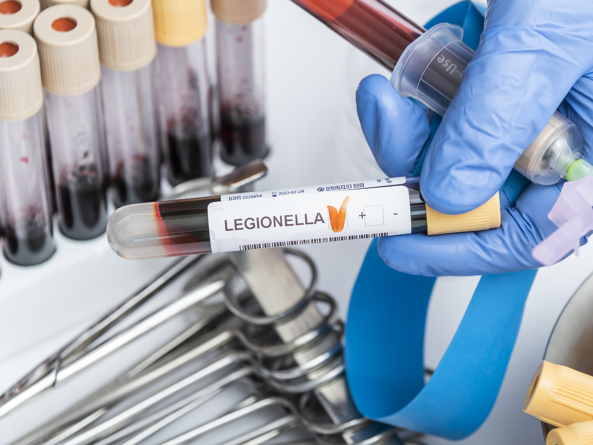 Specialist Cleaning Services Torbay