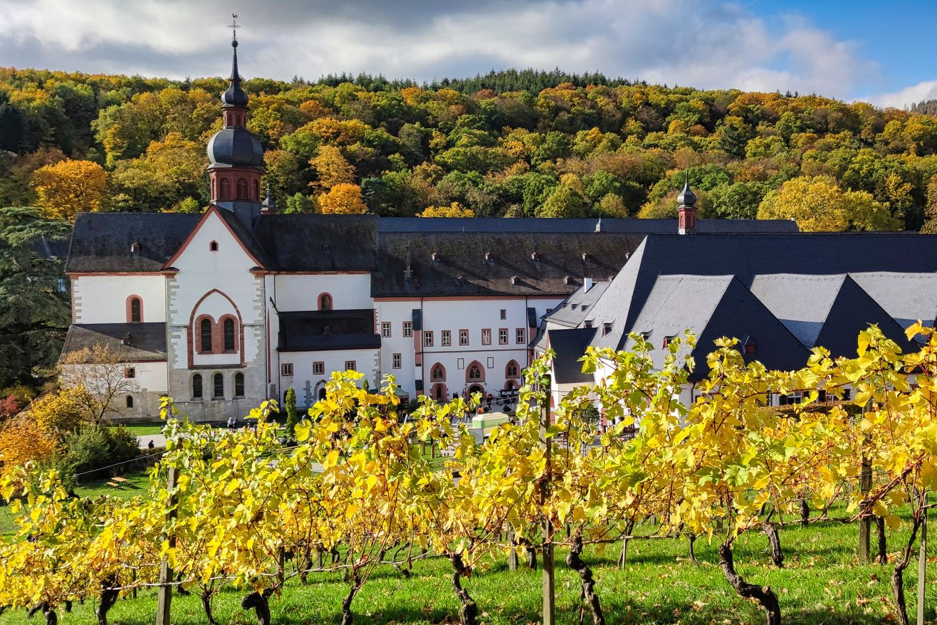 Tolle Location im Rheingau, Weinberge im Vordergrund
