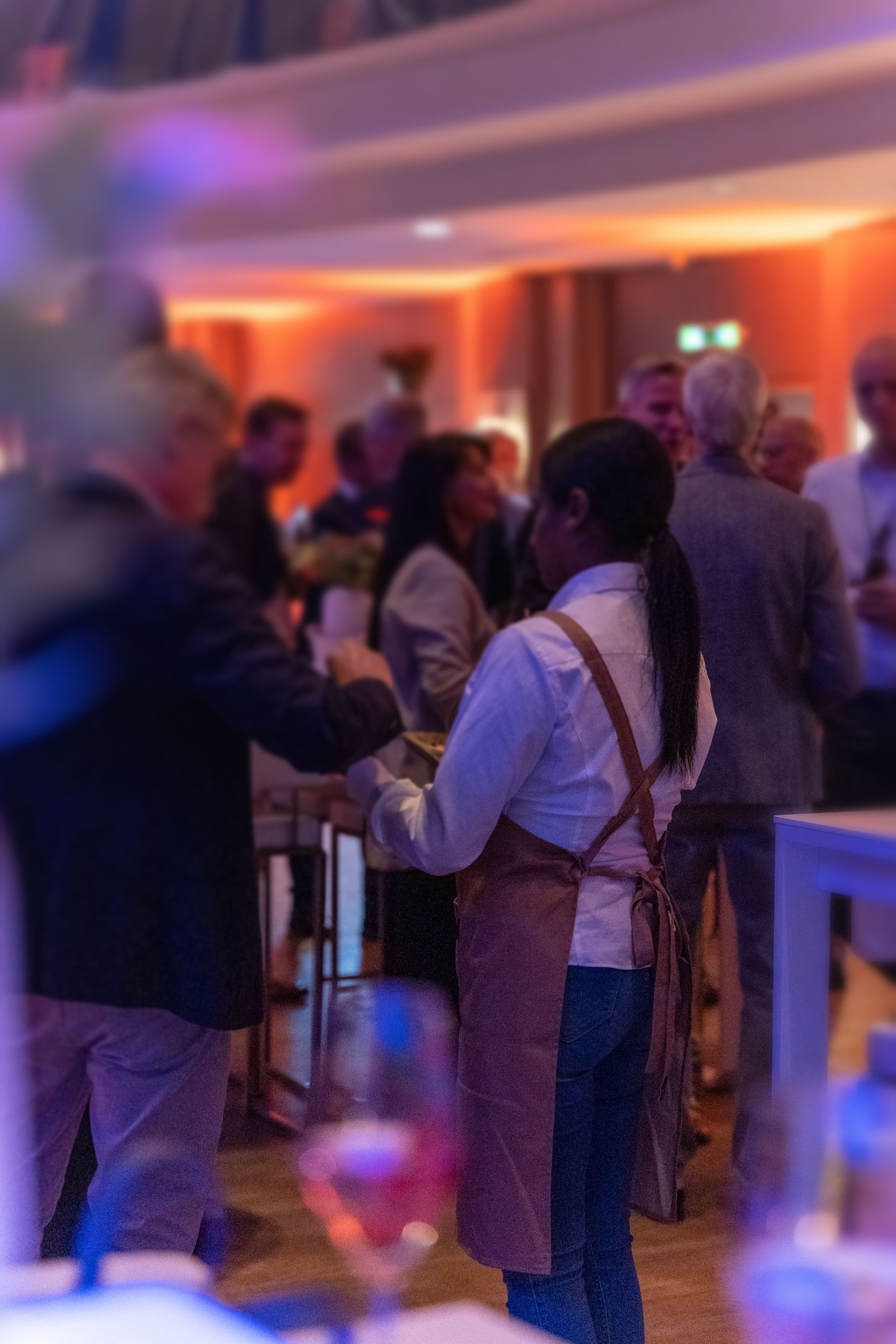 BALZER-DMC-INCOMING-PARTNER-Sommerfest-650-Gaeste-Zoo-Gesellschaftshaus-Flying-Service