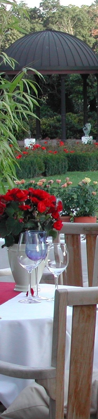 Blick in den Schlosspark vom Restaurant Balzers Schlosskeller (2002). DA Hoverbild zeigt den Eingang in das Restaurant BALZER-Historie-Schloss-Rheinhardthausen-Restaurant-Balzers-Schlosskeller