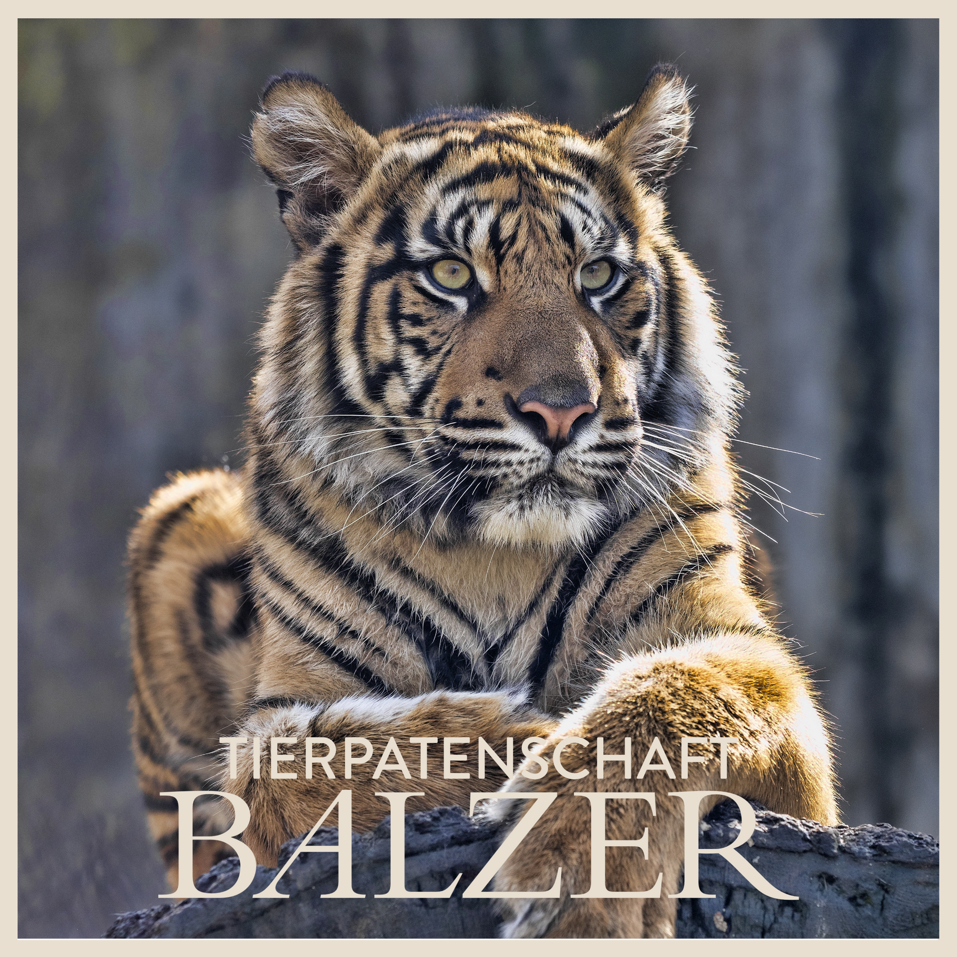 BALZER-Signet-Tierpatenschaft-Zoo-Frankfurt