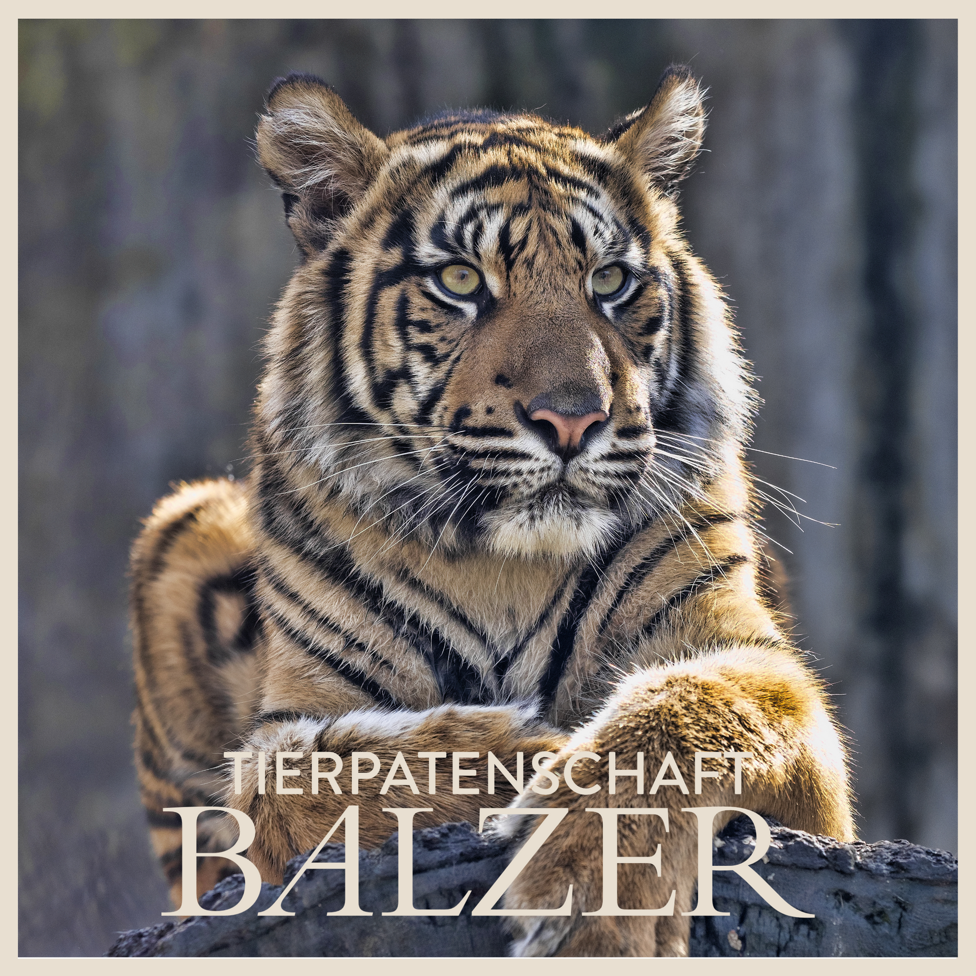 BALZER - Signet für Tierpatenschaft Zoo Frankfurt BALZER-Signet-Tierpatenschaft-Zoo-Frankfurt