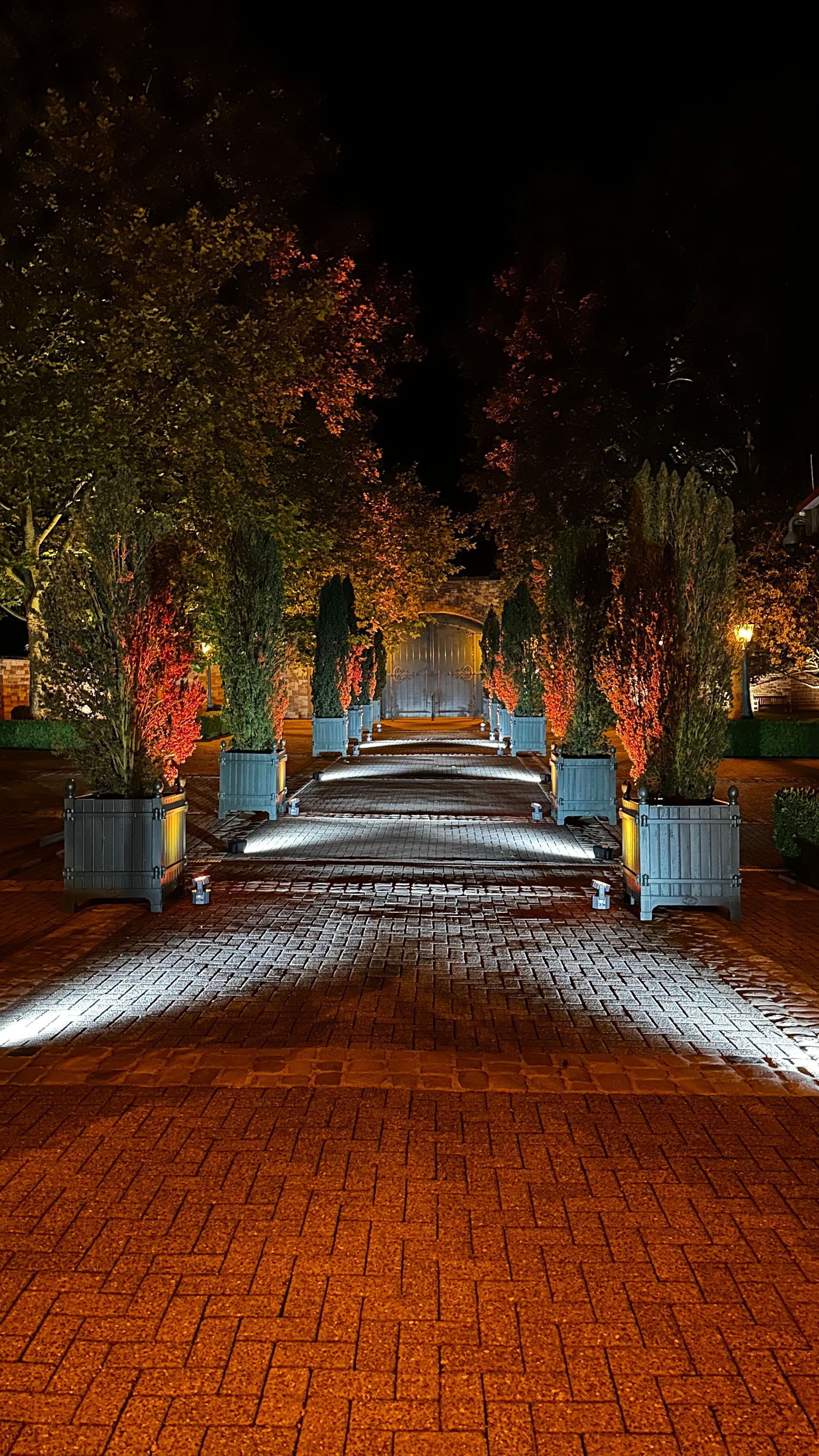 BALZER-PREMIUM-at Venue-Hofgut-Huenerdorff