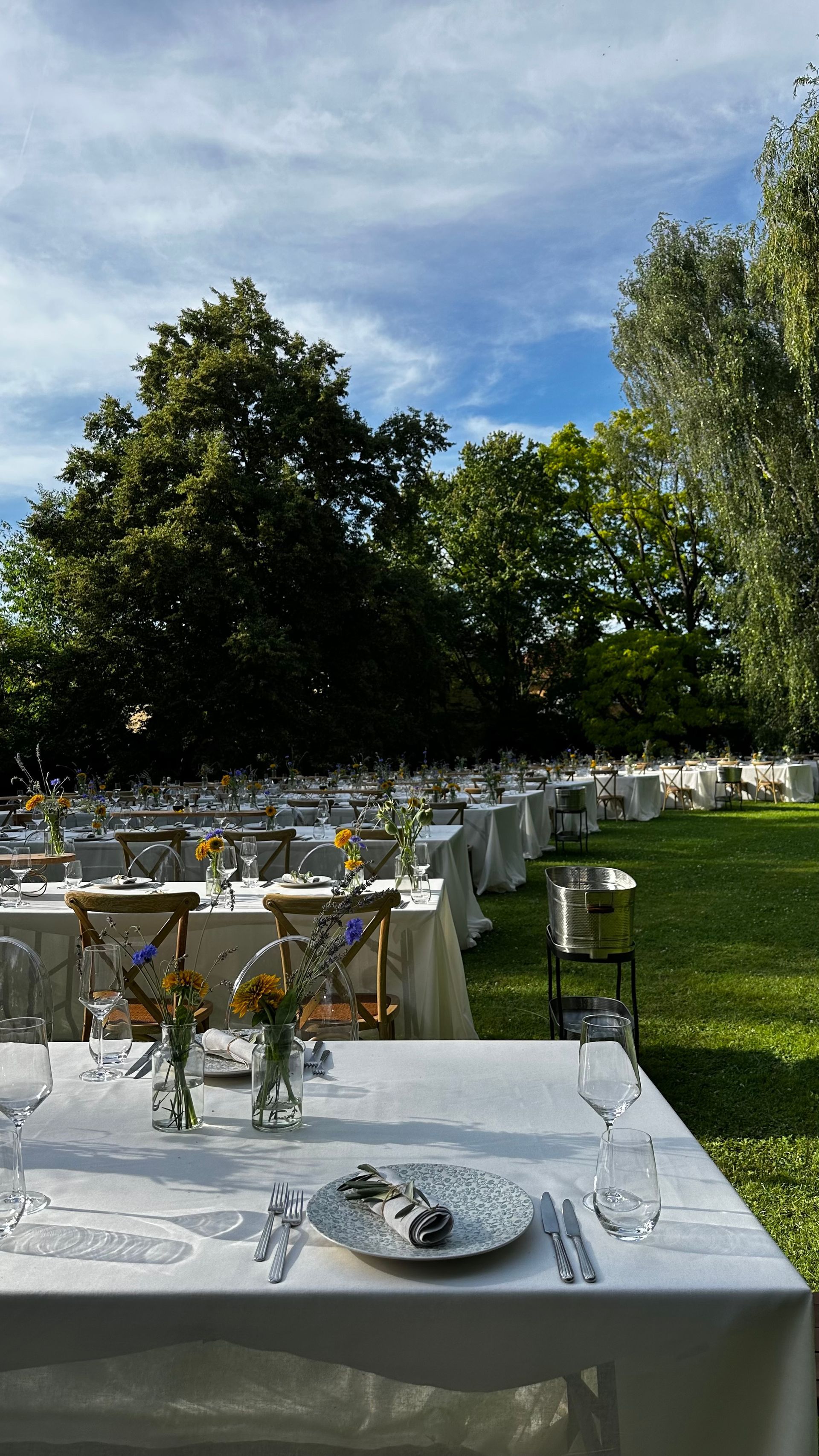BALZER Premium Summer Party in the Park