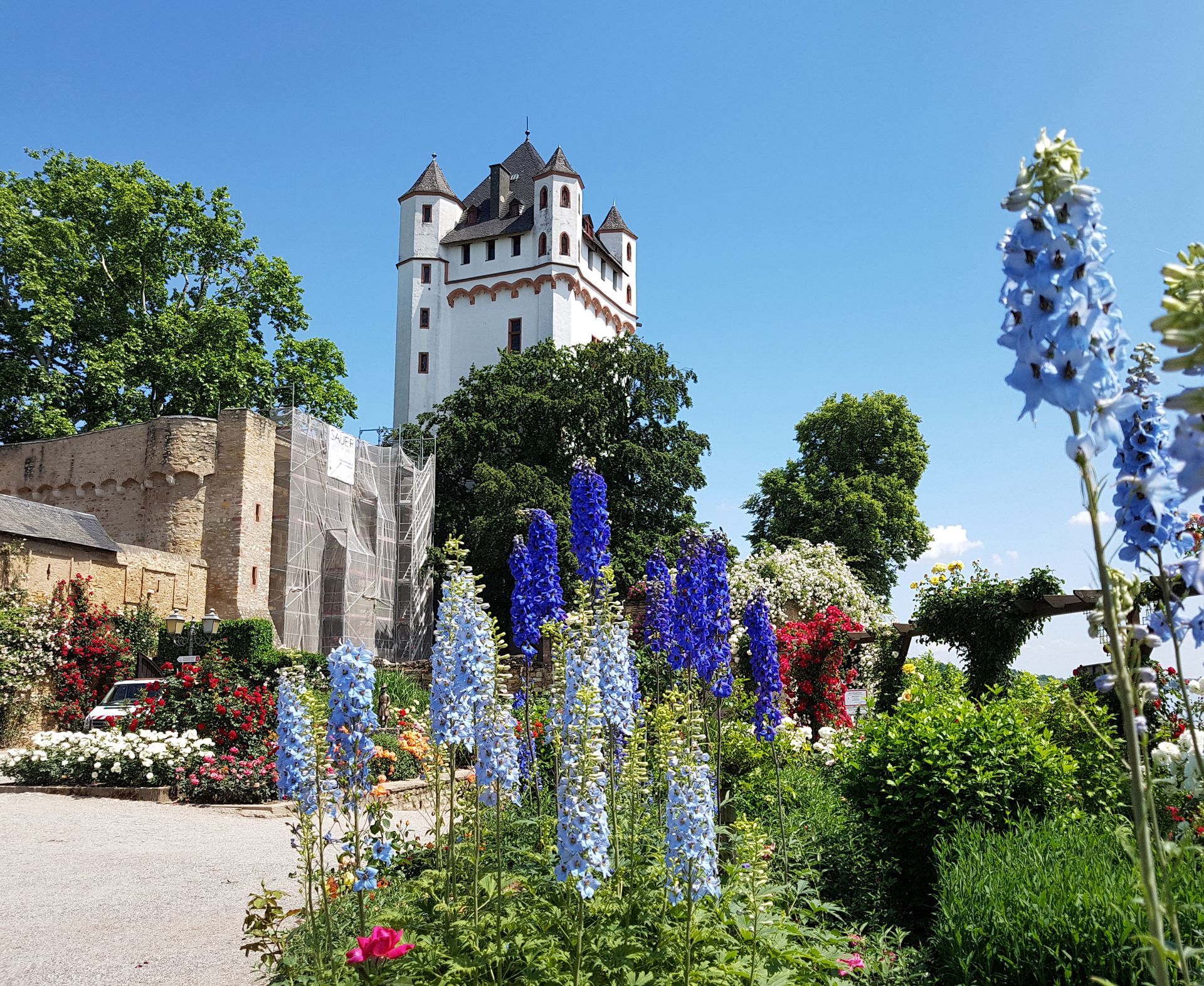 BALZER-DMC-Event-Locations-Rheingau