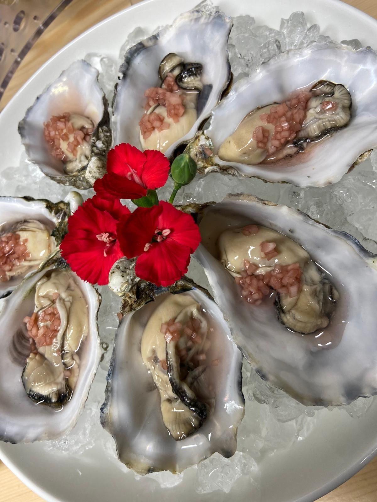 BALZER Premium Line BALZER Premium Line on behalf of a customer