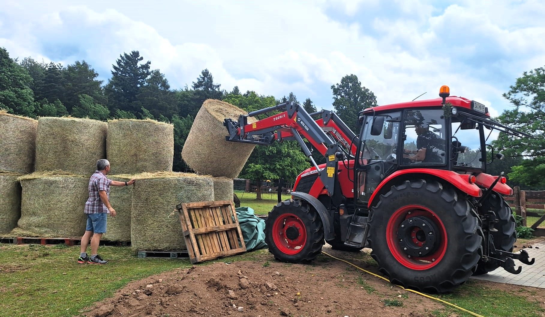 Heuernte mit einem Traktor im Tiergarten