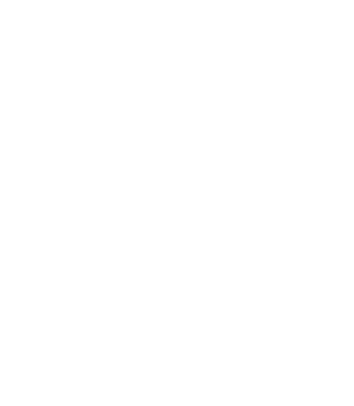 Xing icon