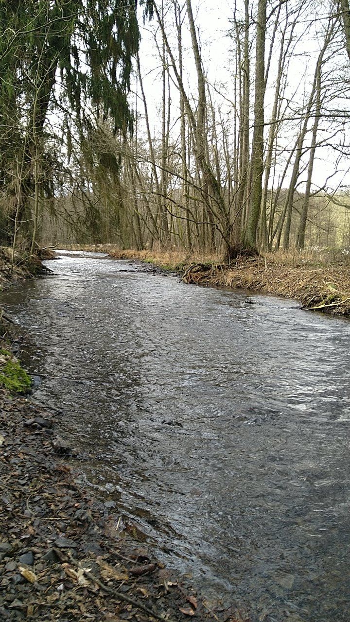 Selketal