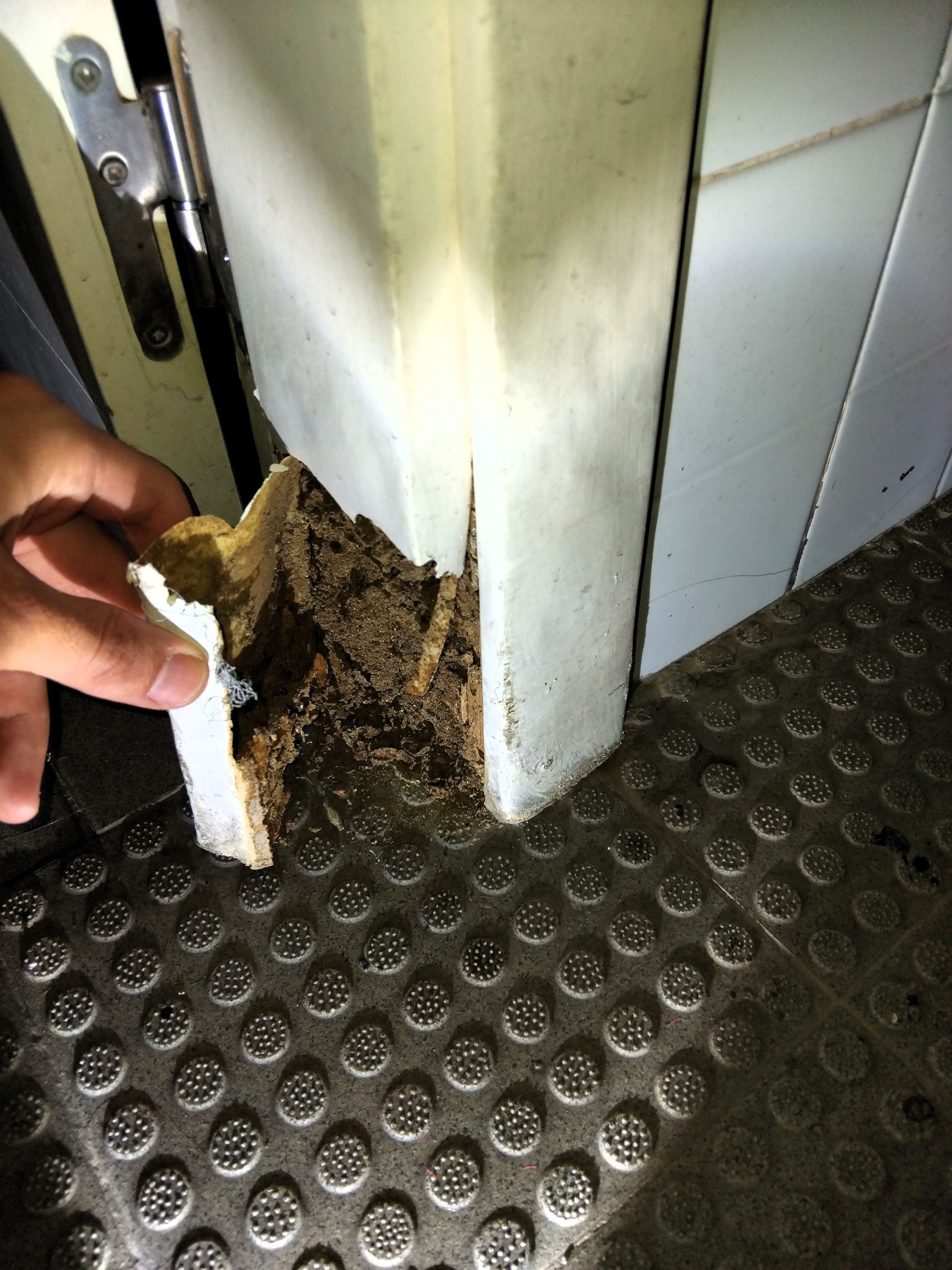 Ataque de termitas en marco de puerta Ataque de termitas en marco de puerta