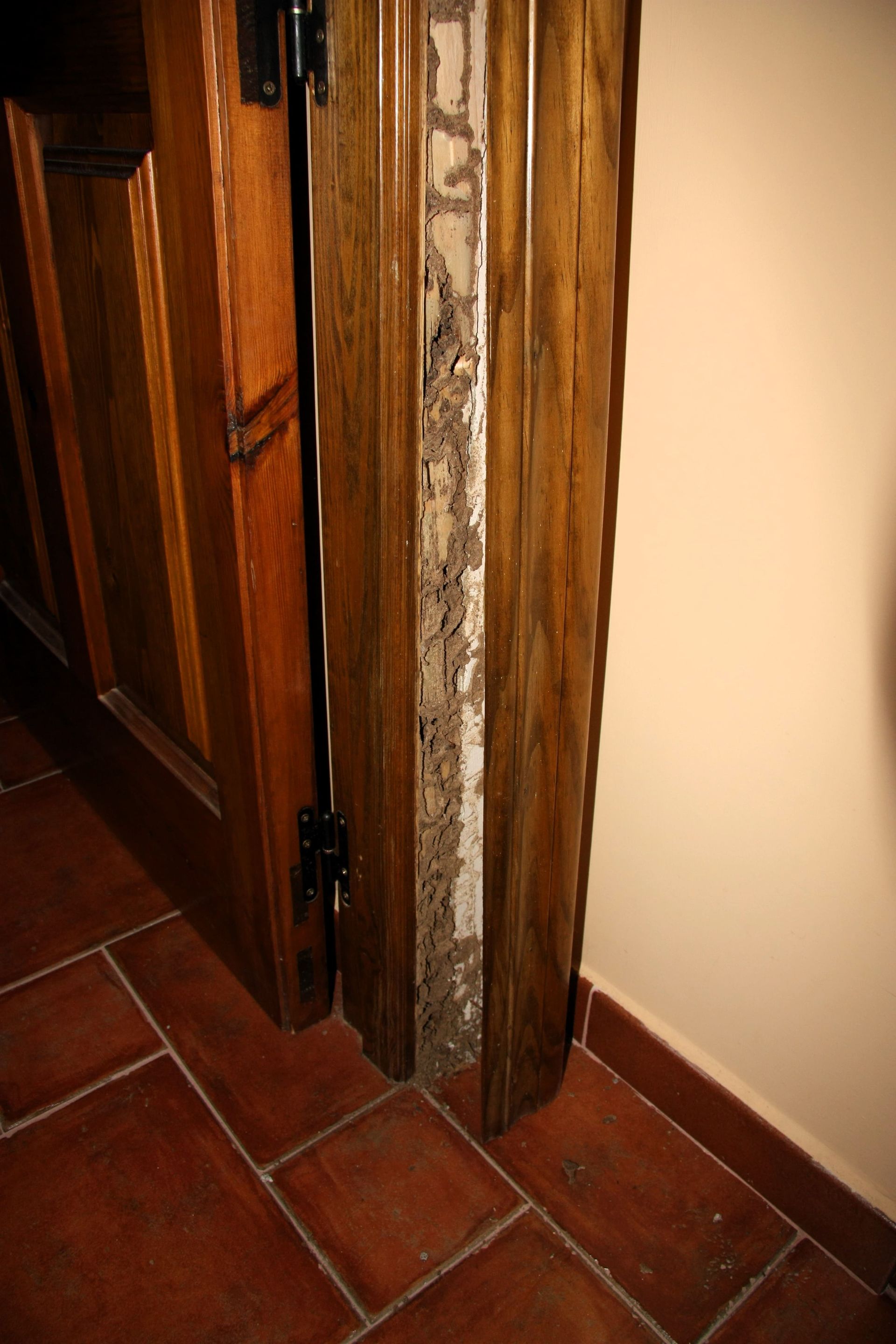 Marco de puerta con ataque y rastros de termitas Marco de puerta con ataque y rastros de termitas