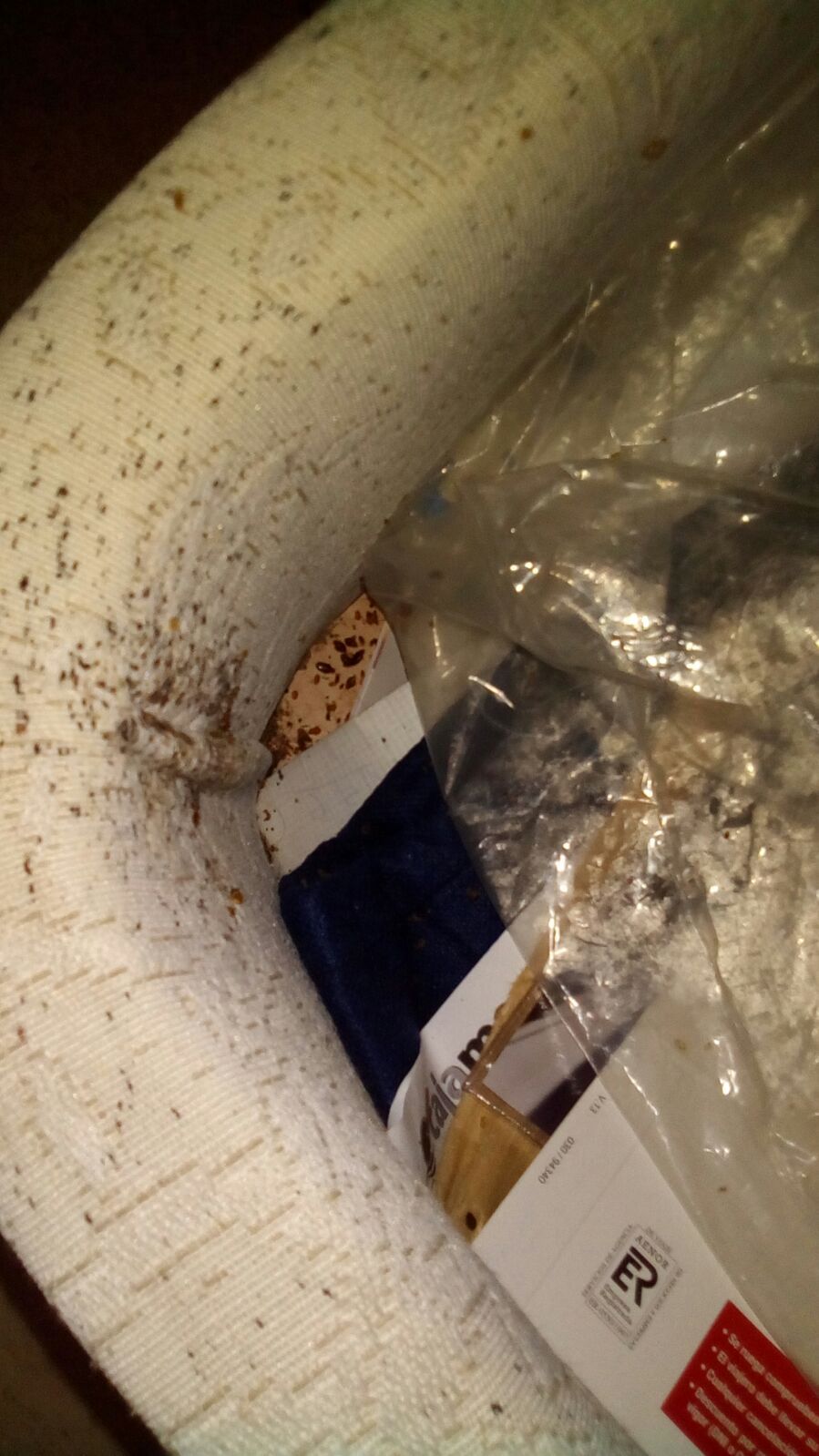 detección de chinches de la cama