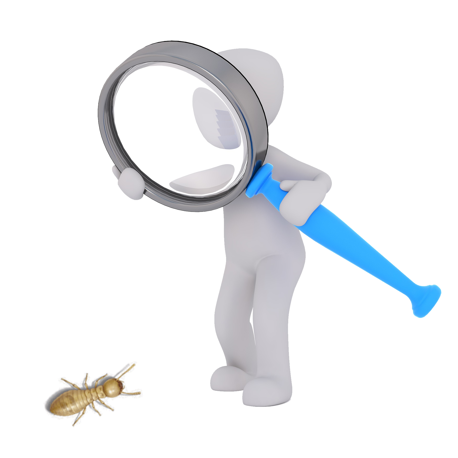 diferencia entre termitas y hormigas diferencia entre termitas y hormigas