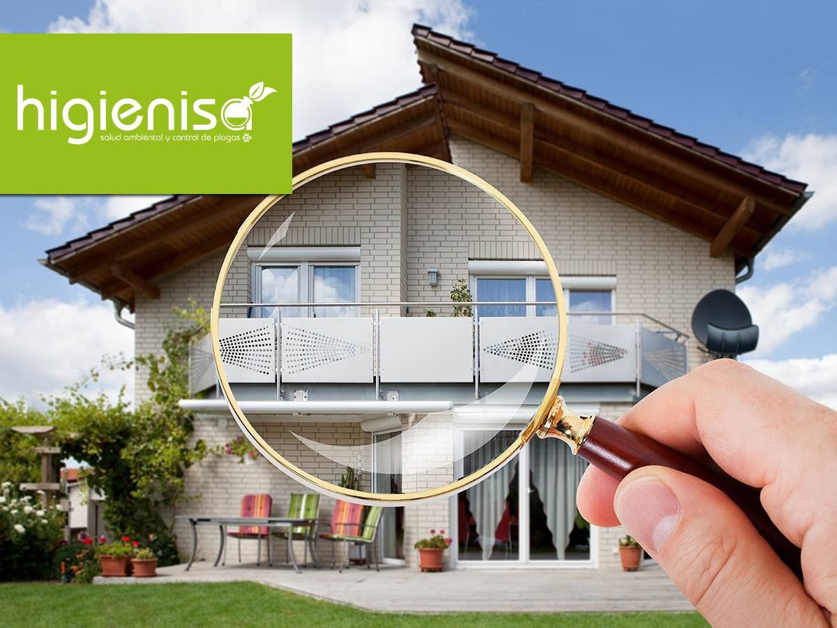 Inspección de termitas en casa Inspección de termitas en casa