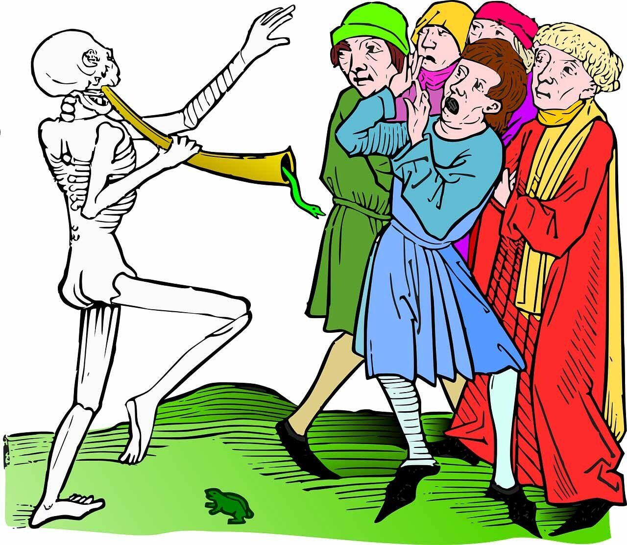 control de plagas control de plagas