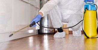 Empresa desinfección Desinfecciones Alicante, Valencia y Murcia