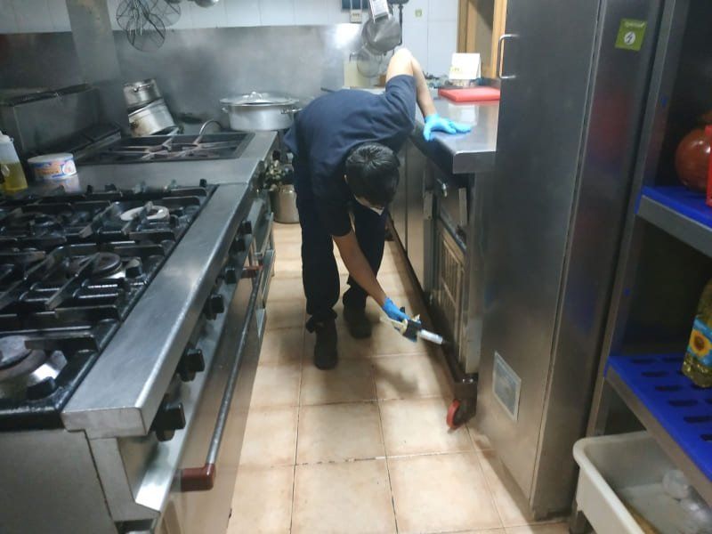 Técnico de Higienisa aplicando gel para acabar con plaga de cucarachas en cocina de restaurante Técnico de Higienisa aplicando gel para acabar con plaga de cucarachas en cocina de restaurante