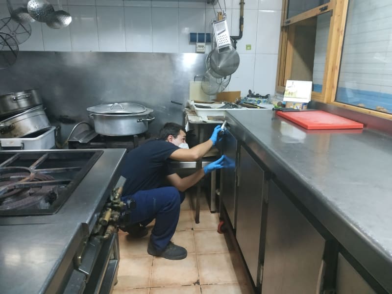 Técnico de Higienisa realizando un control de cucarachas eficaz Técnico de Higienisa realizando un control de cucarachas eficaz