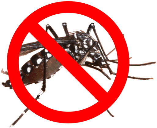 Eliminar y Fumigar mosquitos en Alicante Eliminar y Fumigar mosquitos en Alicante
