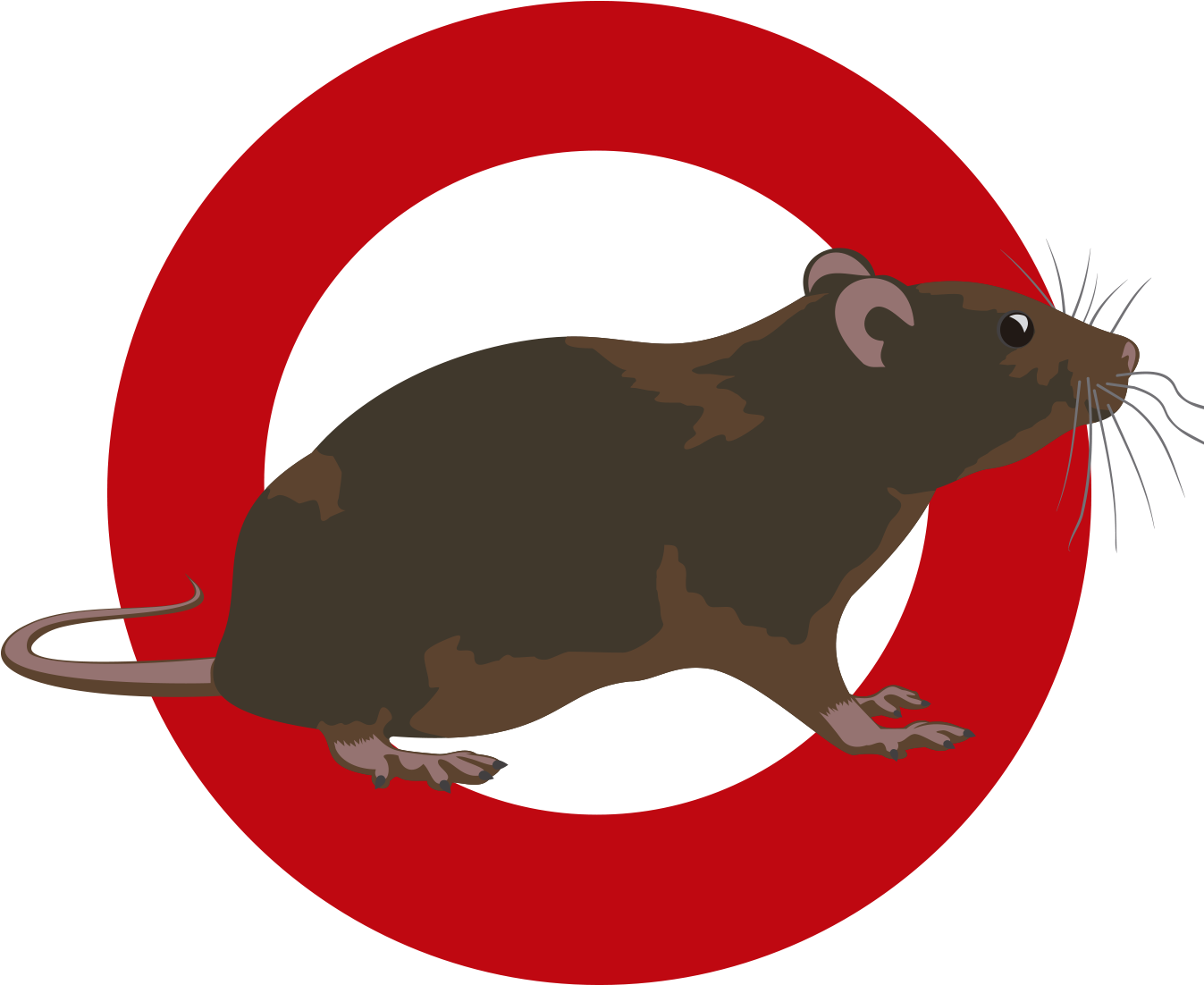 Eliminar ratas y ratones por empresa de control de plagas