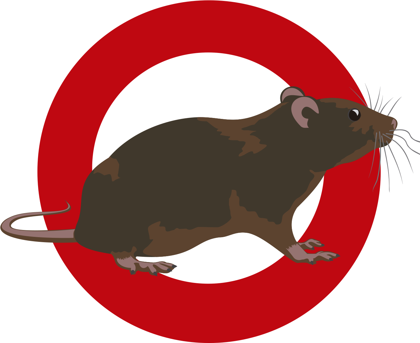 Eliminar ratas y ratones por empresa de control de plagas Eliminar ratas y ratones por empresa de control de plagas