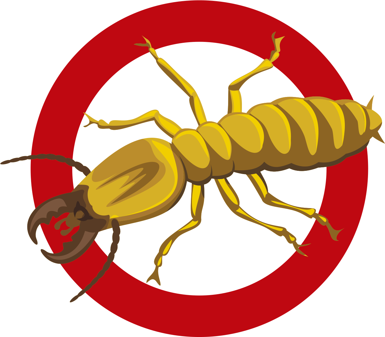Empresa tratamientos eliminar termitas