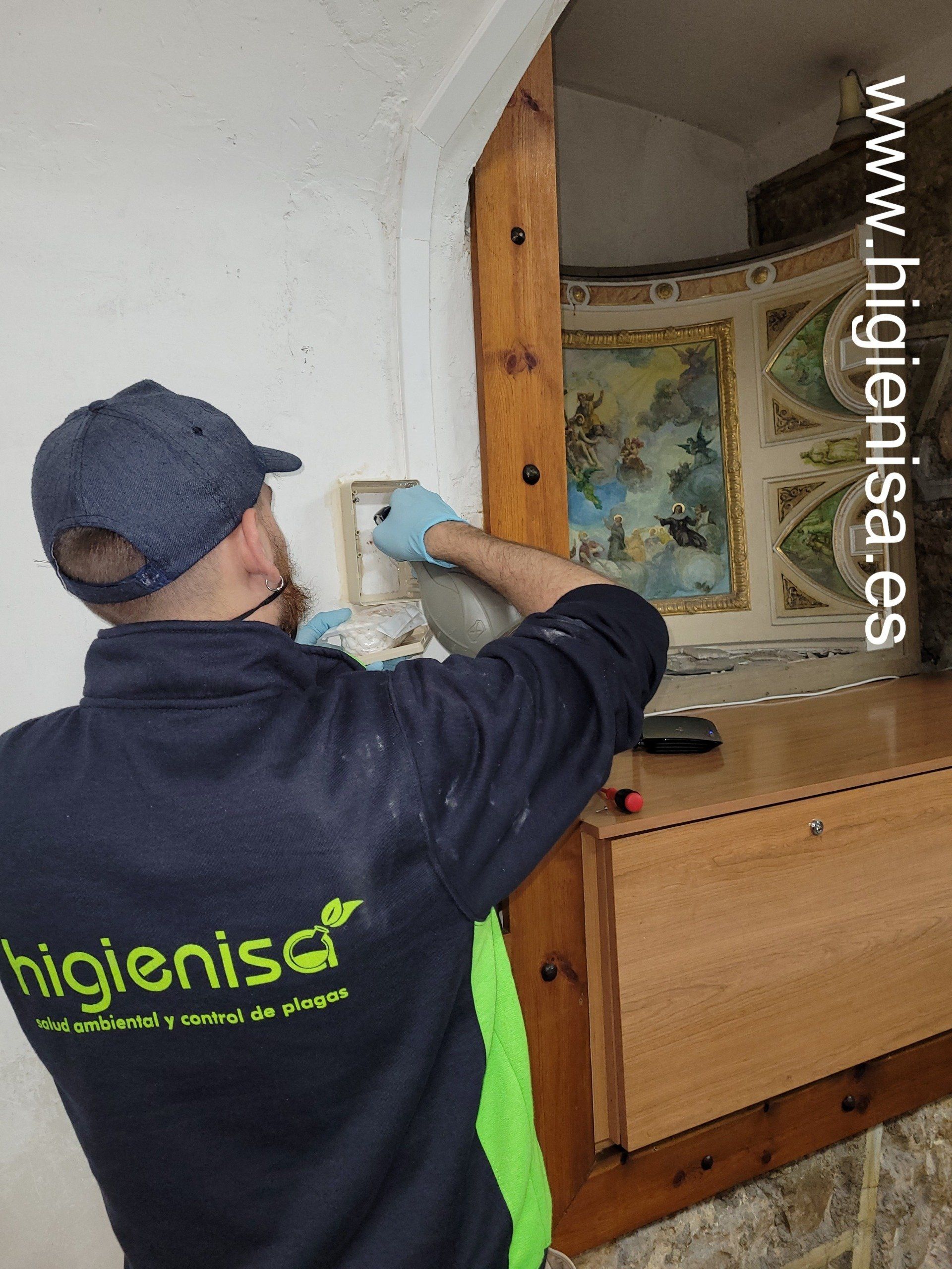 Empresas de control de plagas de termitas en Alicante Empresas de control de plagas de termitas en Alicante