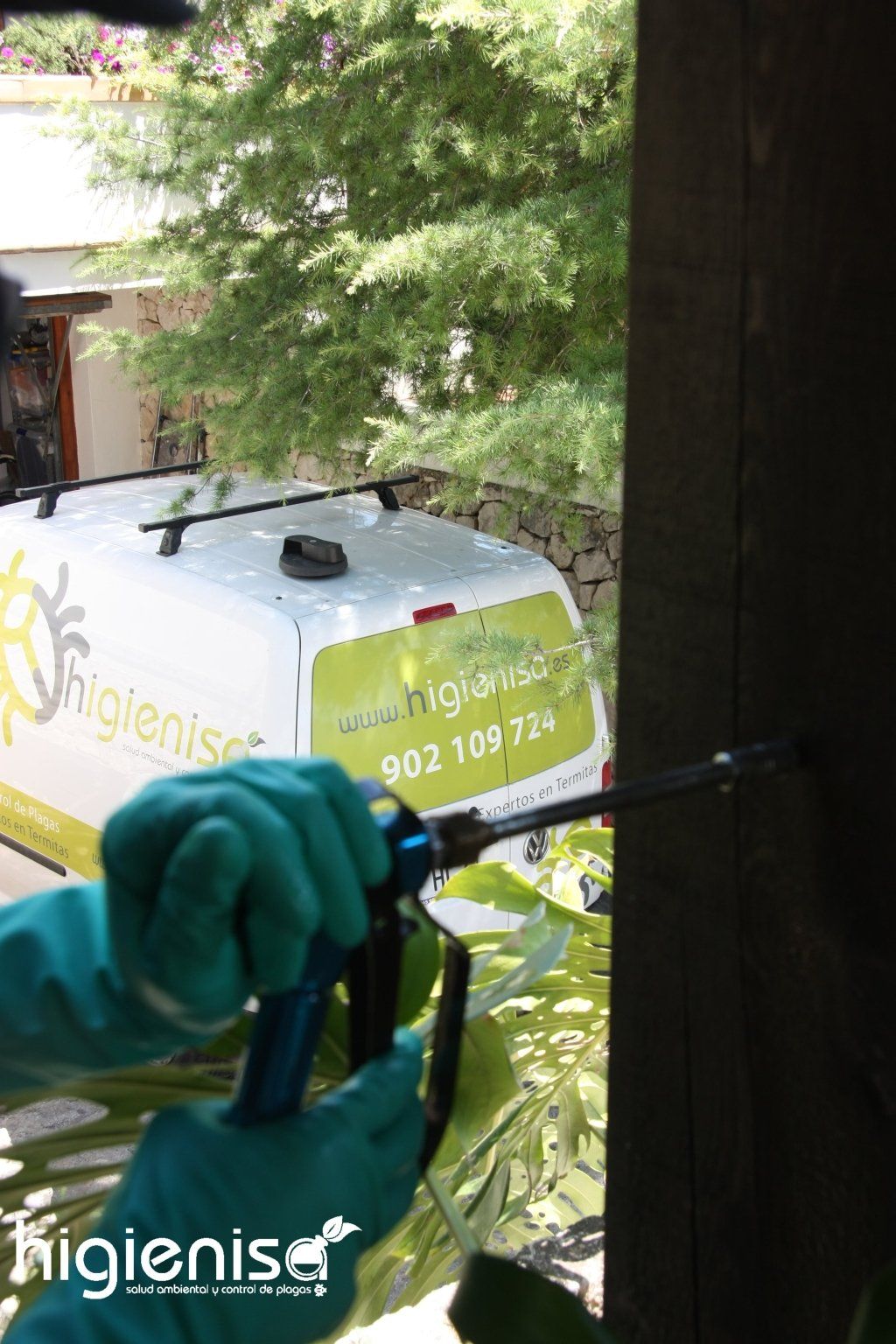 Tratamientos de eliminación de termitas en Valencia Tratamientos de eliminación de termitas en Valencia