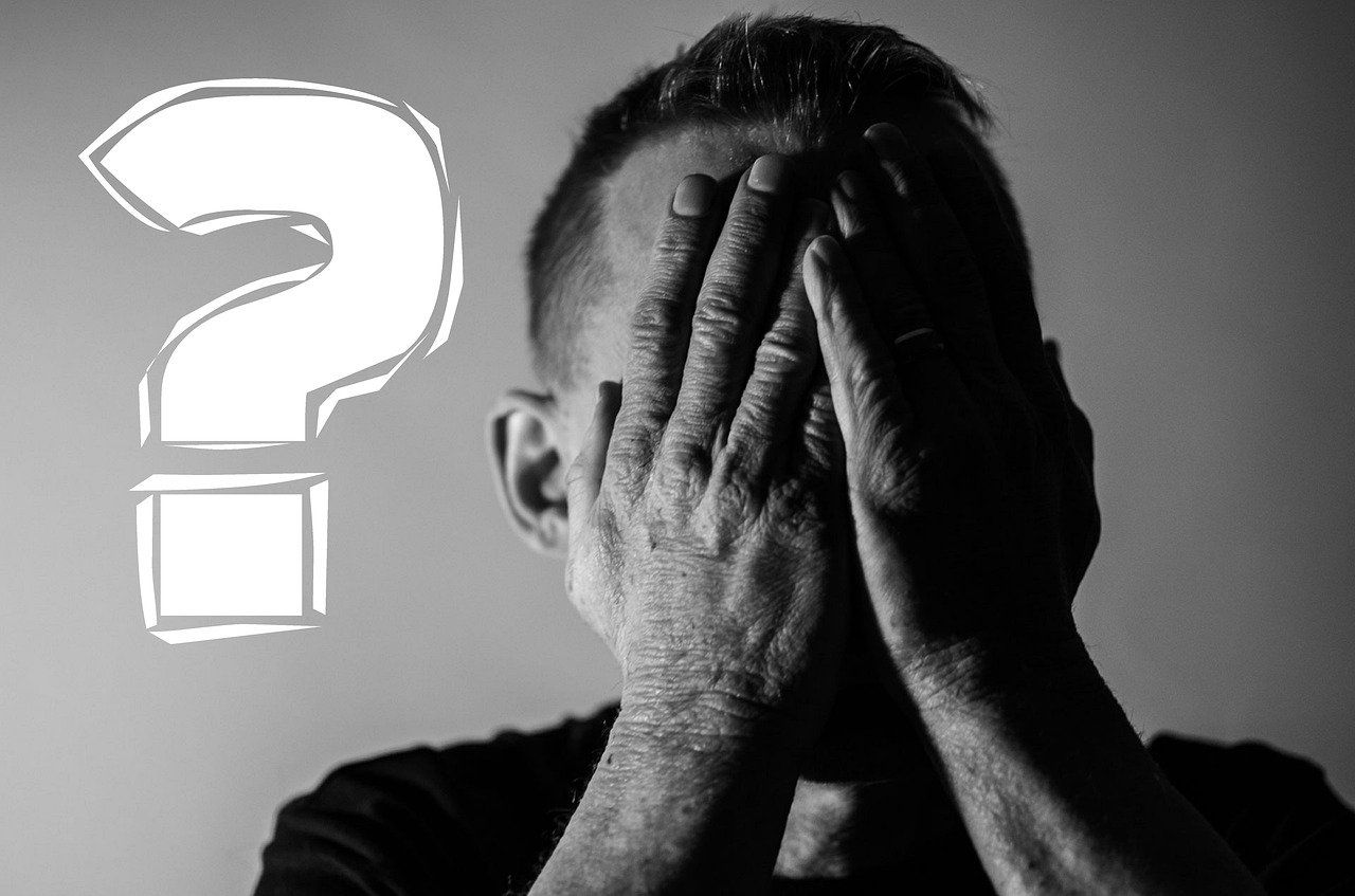 recomendar empresa control de plagas empresa plagas recomendada