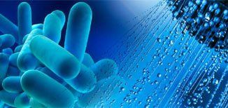 desinfección de la legionella tratamientos de prevención y control de la legionella en alicante