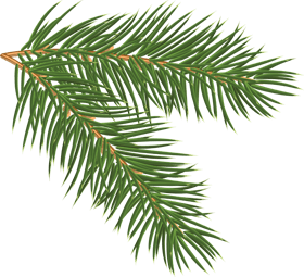 tratamiento contra procesionaria tratamiento contra procesionaria