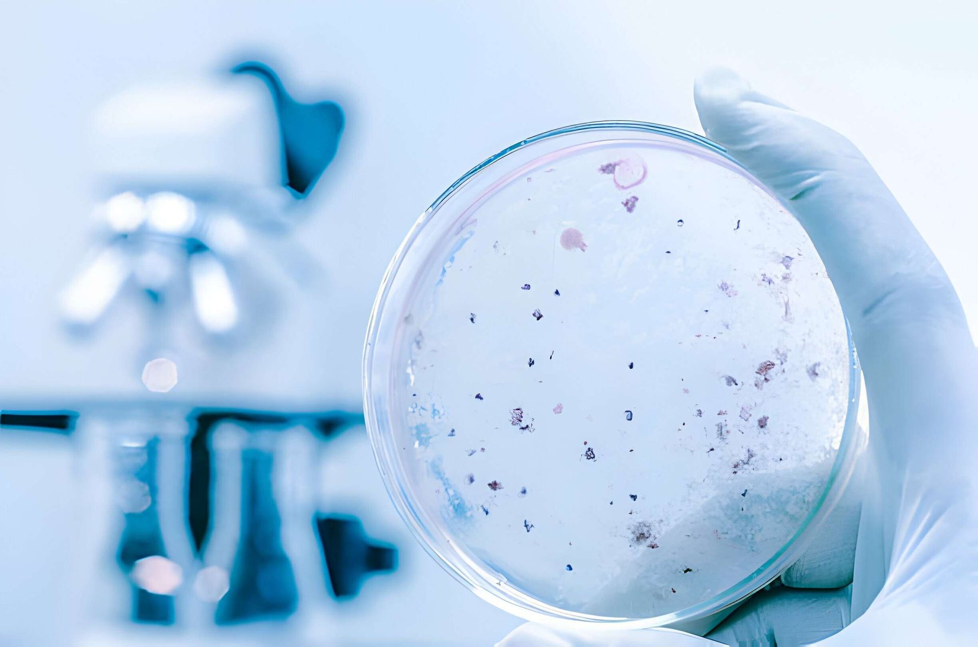 Análisis bacteria legionella Análisis bacteria legionella